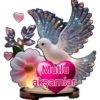 İyi aksamlar 23