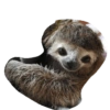 Perezosos 8