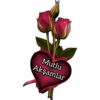İyi aksamlar 12