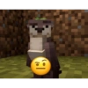 Quackity  30