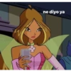 Winx club 12