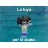 Quackity  24