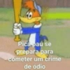 Pica-pau3 30