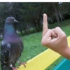 Aleatório do 26