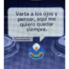 Club penguin  30