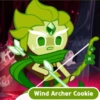 Wind archer 13