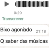 Operação Livia 24