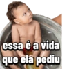 Operação Livia 8