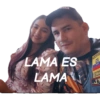Político  17