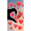 Bom dia 15