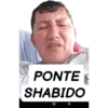 Político  29