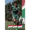 Fluminense Diniz 2022 2.0 3
