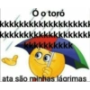 Figu boa 12