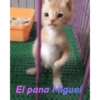 Un poco de todo 19