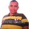 Sisisi 7