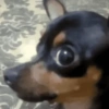 Aleatório  7