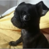 Aleatório  6