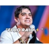 Natanzinho Lima 12