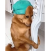 Porque julgas? 5