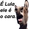 Politica 19