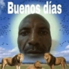 Ola 13