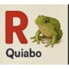 Ola 12