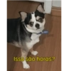 Meme 13