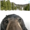 ???? 6