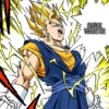 💫💥Vegetto ssj y blue💥💫 19