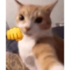 ???? 17