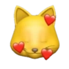 GATO 9
