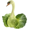 Tebak tebakan 22