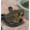 ???? 12