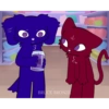 Chaz and Riley 20