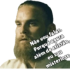 Vikings 29