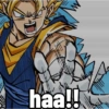 💫💥Vegetto ssj y blue💥💫 13