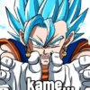 💫💥Vegetto ssj y blue💥💫 22