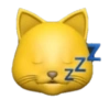 GATO 5