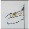 Mexichangos 17