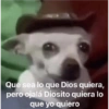???? 8