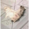 ???? 14