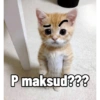 Ekspresi gelap kucing😺 9