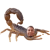 Mr D. 8