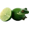 Tebak tebakan 24