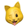 GATO 12