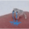 ???? 21