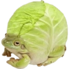 Tebak tebakan 18
