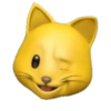 GATO 13