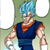 💫💥Vegetto ssj y blue💥💫 27