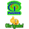 COMERCIAL PAUXIS 24